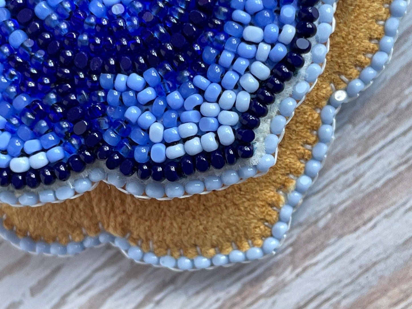 𝙻𝚞𝚡𝚞𝚛𝚒𝚘𝚞𝚜 𝙱𝚕𝚞𝚎 𝚁𝚘𝚜𝚎𝚜 • 𝙻𝙶