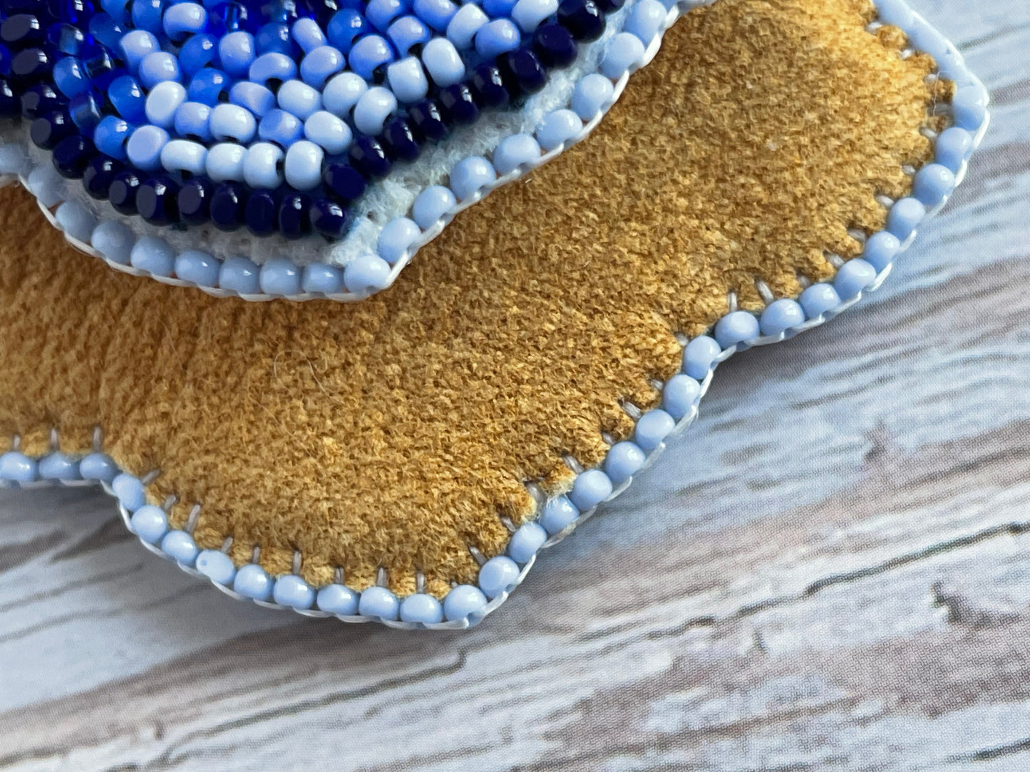 𝙻𝚞𝚡𝚞𝚛𝚒𝚘𝚞𝚜 𝙱𝚕𝚞𝚎 𝚁𝚘𝚜𝚎𝚜 • 𝙻𝙶