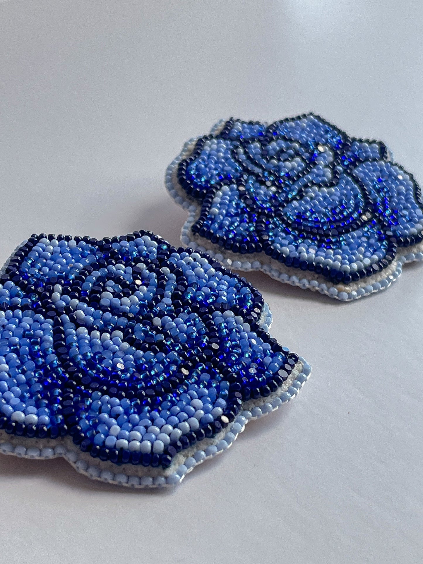 𝙻𝚞𝚡𝚞𝚛𝚒𝚘𝚞𝚜 𝙱𝚕𝚞𝚎 𝚁𝚘𝚜𝚎𝚜 • 𝙻𝙶